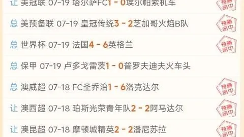 体育 115904